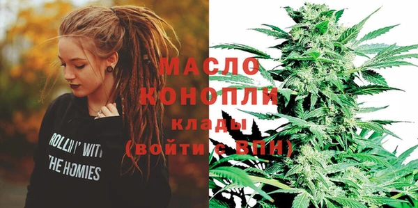 МДПВ Инта