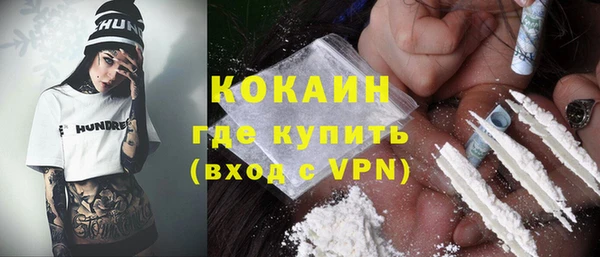 МДПВ Инта