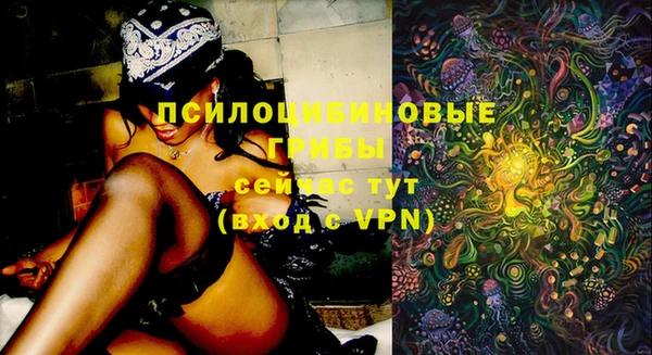 спиды Инсар