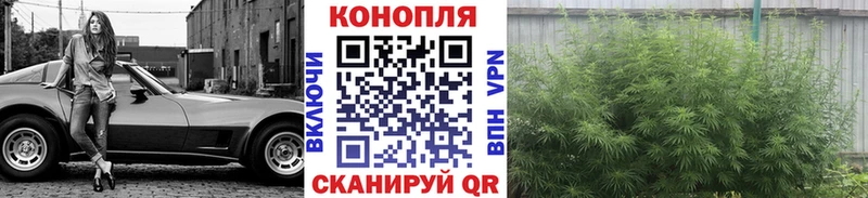 Купить  Валдай  Конопля Bruce Banner 
